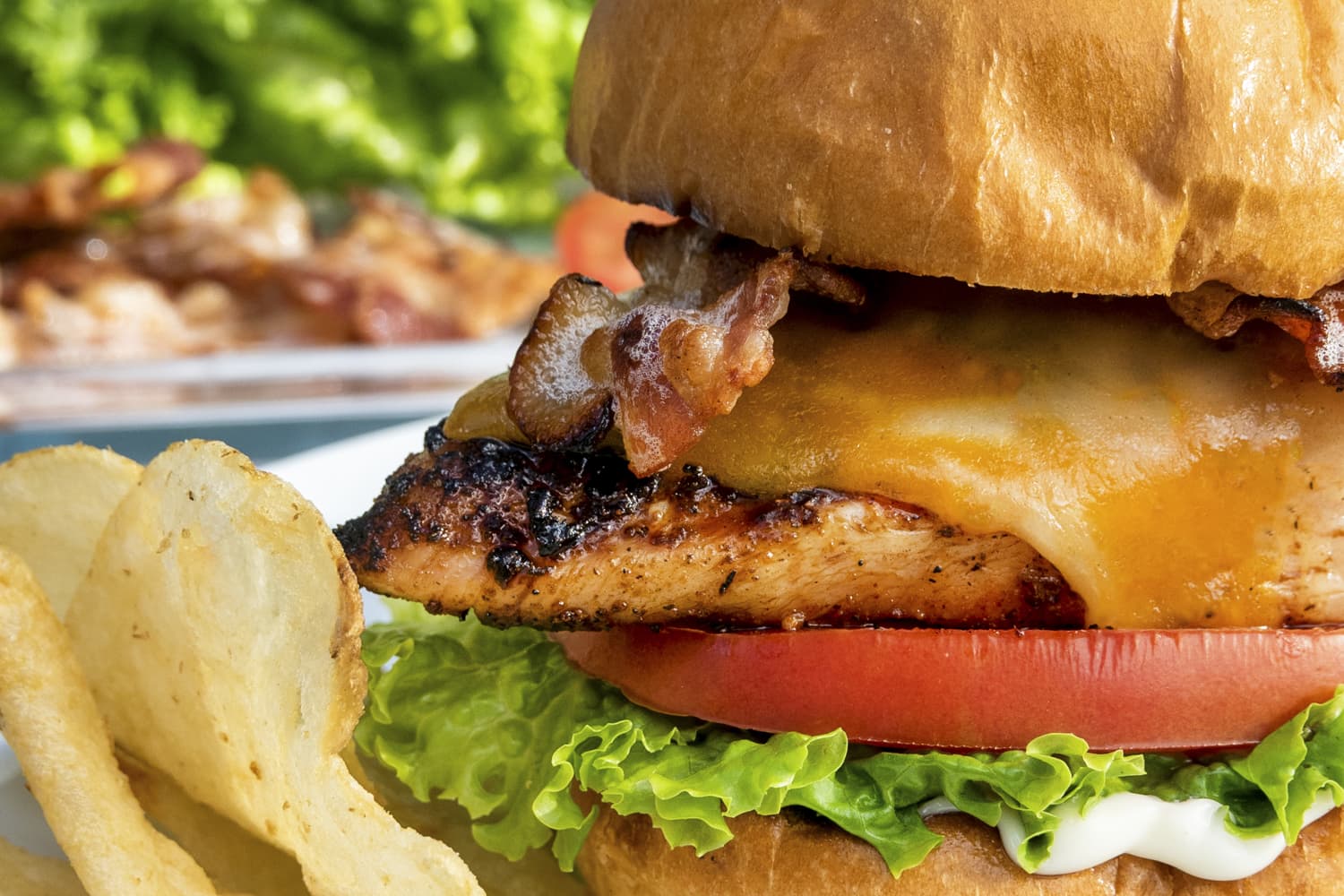 Grilled Chicken Sandwich